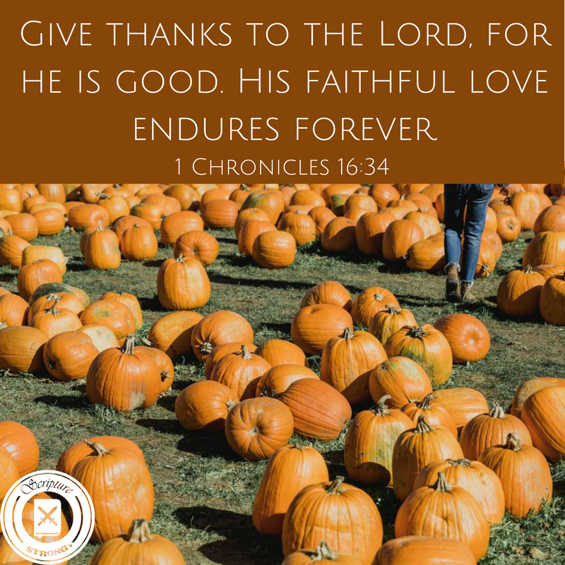Have You Given Thanks Today?