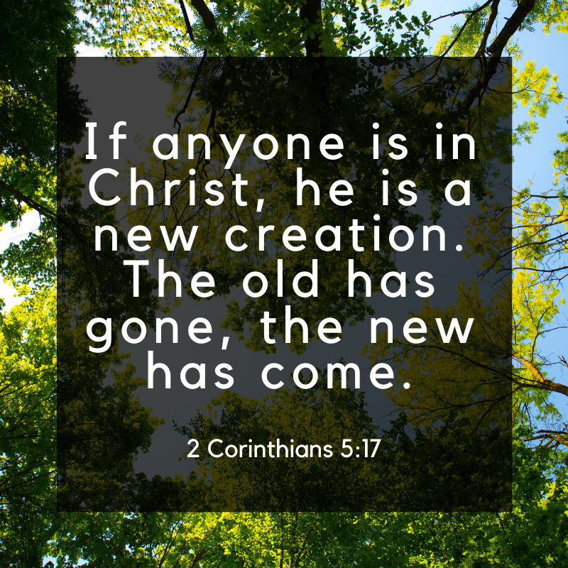 You Are New In Christ